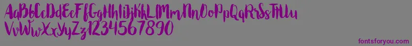 Roomfer Font – Purple Fonts on Gray Background