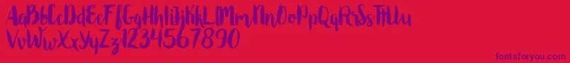 Roomfer Font – Purple Fonts on Red Background