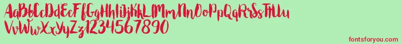 Roomfer Font – Red Fonts on Green Background