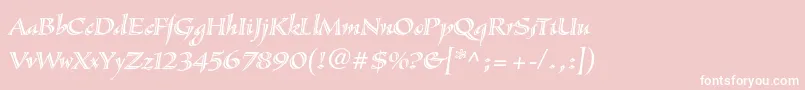 SassafrasstdItalic Font – White Fonts on Pink Background