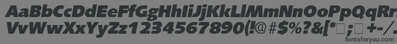 Fonte LansetteDisplaySsiItalic – fontes pretas em um fundo cinza