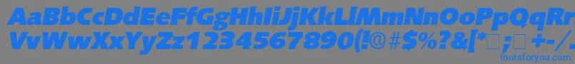 Czcionka LansetteDisplaySsiItalic – niebieskie czcionki na szarym tle