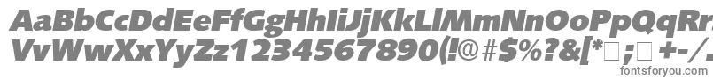 LansetteDisplaySsiItalic-fontti – harmaat kirjasimet valkoisella taustalla