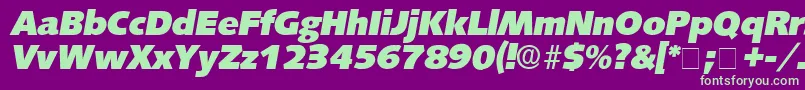 LansetteDisplaySsiItalic Font – Green Fonts on Purple Background
