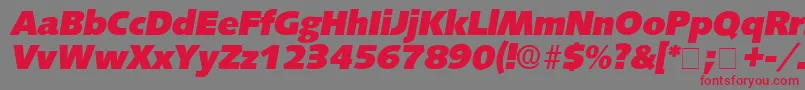 LansetteDisplaySsiItalic Font – Red Fonts on Gray Background