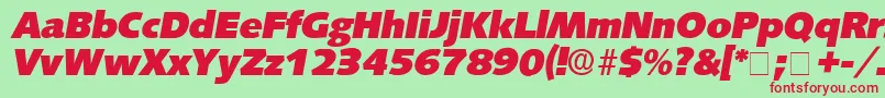 LansetteDisplaySsiItalic Font – Red Fonts on Green Background