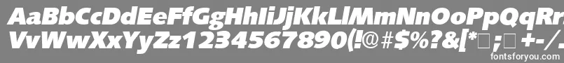 Шрифт LansetteDisplaySsiItalic – белые шрифты на сером фоне