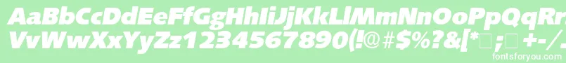 fuente LansetteDisplaySsiItalic – Fuentes Blancas Sobre Fondo Verde