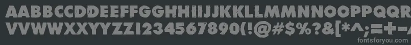 フォントDivisibleInvisibleLow – 黒い背景に灰色の文字