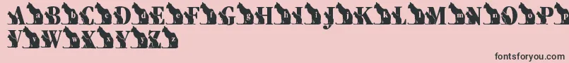 LmsKatsCat Font – Black Fonts on Pink Background
