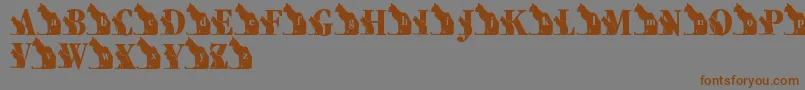 LmsKatsCat Font – Brown Fonts on Gray Background