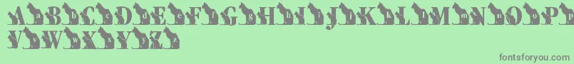 LmsKatsCat Font – Gray Fonts on Green Background