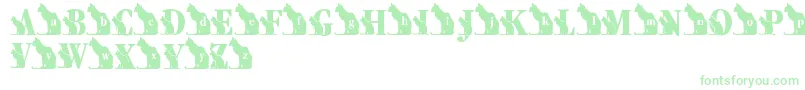LmsKatsCat Font – Green Fonts