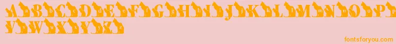 LmsKatsCat-Schriftart – Orangefarbene Schriften auf rosa Hintergrund