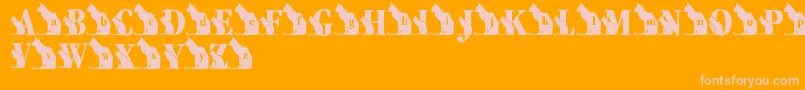 LmsKatsCat Font – Pink Fonts on Orange Background