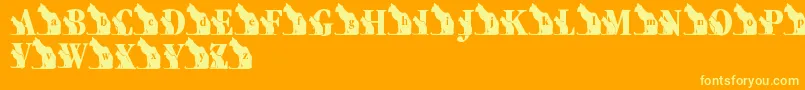 LmsKatsCat Font – Yellow Fonts on Orange Background