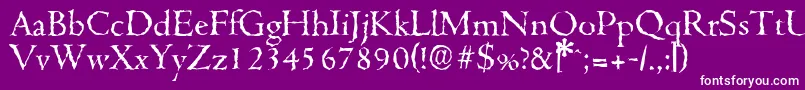CambridgerandomRegular Font – White Fonts on Purple Background