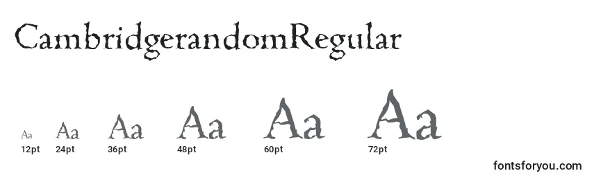 Размеры шрифта CambridgerandomRegular
