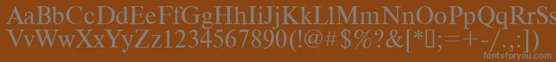 フォントTimes.Kz – 茶色の背景に灰色の文字