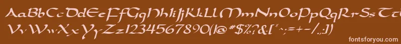 DarwyckeRegular Font – Pink Fonts on Brown Background