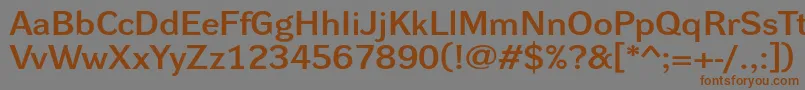 More about Dynagroteskdxe Font Dynagroteskdxe Font – Brown Fonts on Gray Background