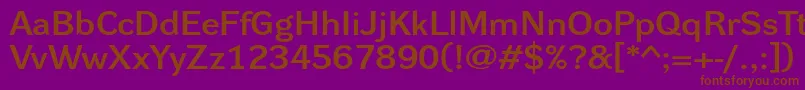 Dynagroteskdxe Font – Brown Fonts on Purple Background