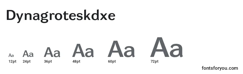 Размеры шрифта Dynagroteskdxe