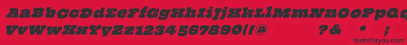 ThehammerslabserifOblique Font – Black Fonts on Red Background