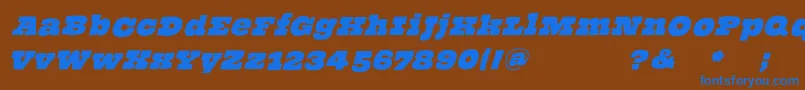 ThehammerslabserifOblique Font – Blue Fonts on Brown Background