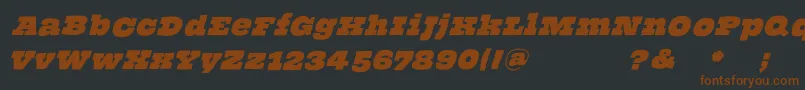 ThehammerslabserifOblique Font – Brown Fonts on Black Background