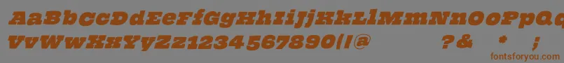 ThehammerslabserifOblique Font – Brown Fonts on Gray Background