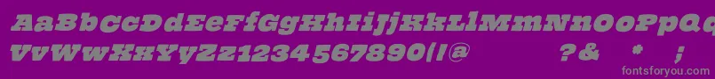 ThehammerslabserifOblique Font – Gray Fonts on Purple Background