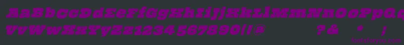 Czcionka ThehammerslabserifOblique – fioletowe czcionki na czarnym tle