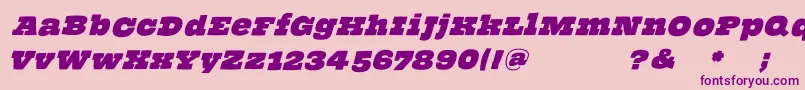 ThehammerslabserifOblique Font – Purple Fonts on Pink Background