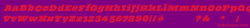 ThehammerslabserifOblique Font – Red Fonts on Purple Background