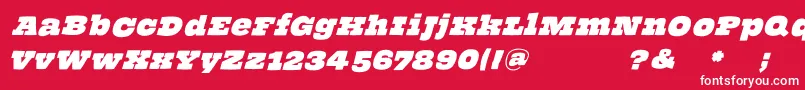 ThehammerslabserifOblique Font – White Fonts on Red Background