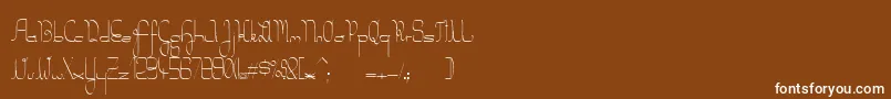 SalkinElegant Font – White Fonts on Brown Background