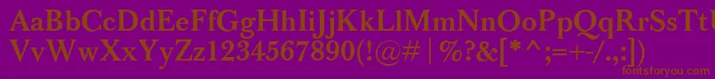 BaskervilleClassicoBold Font – Brown Fonts on Purple Background