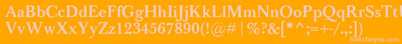 BaskervilleClassicoBold Font – Pink Fonts on Orange Background