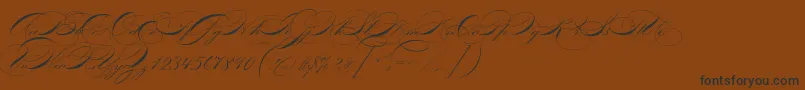 P22zanerfour-Schriftart – Schwarze Schriften auf braunem Hintergrund