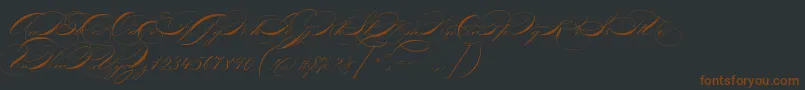 P22zanerfour-Schriftart – Braune Schriften auf schwarzem Hintergrund