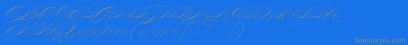 P22zanerfour-Schriftart – Graue Schriften auf blauem Hintergrund