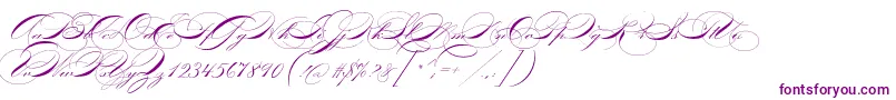 P22zanerfour-Schriftart – Violette Schriften