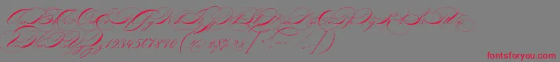 P22zanerfour Font – Red Fonts on Gray Background