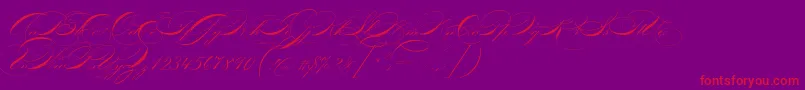 P22zanerfour-Schriftart – Rote Schriften auf violettem Hintergrund