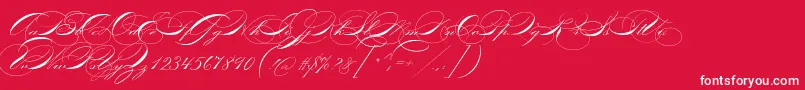fuente P22zanerfour – Fuentes Blancas Sobre Fondo Rojo