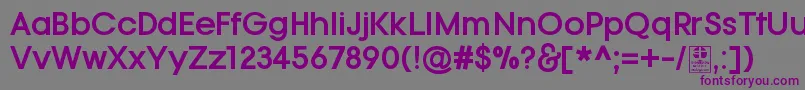 フォントTypoGotikaBoldDemo – 紫色のフォント、灰色の背景