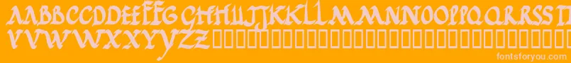 Jgjrrb Font – Pink Fonts on Orange Background