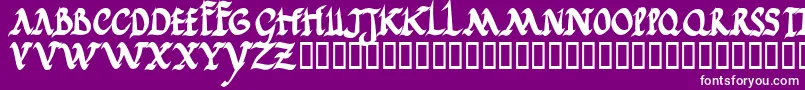 fuente Jgjrrb – Fuentes Blancas Sobre Fondo Morado