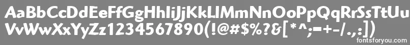 HighlanderItcTtBold Font – White Fonts on Gray Background